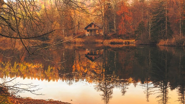 Forest cabin with lake view for serene escape portfolio item